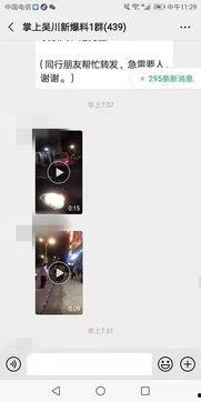 广东湛江爆料视频,揭秘当地民生热点事件